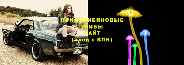 сатива Балабаново