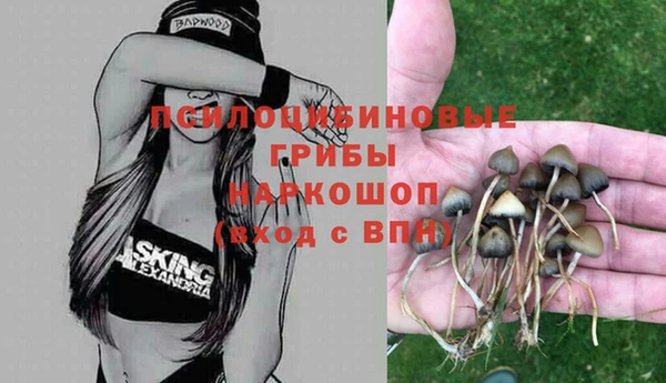 сатива Балабаново