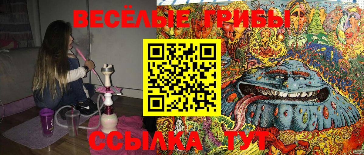 Псилоцибиновые грибы Cubensis Соль-Илецк