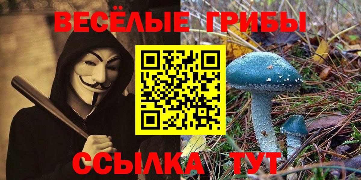 Галлюциногенные грибы Psilocybine cubensis  Вход с VPN  Соль-Илецк 