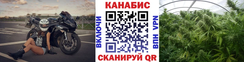 даркнет как зайти  Соль-Илецк  Бошки Шишки THC 21% 